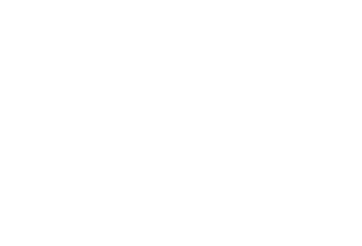 Cybersecurity 718x488